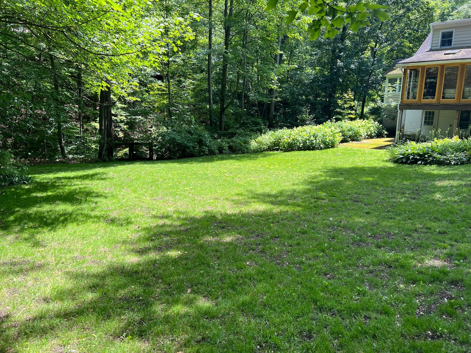 A backyard lawn running up to the woods