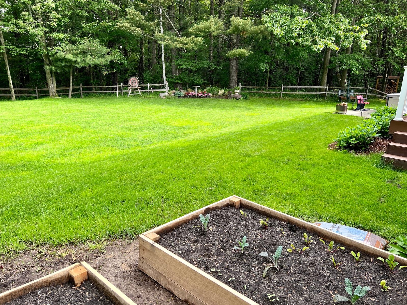 A green backyard lawn with raised vegetable beds