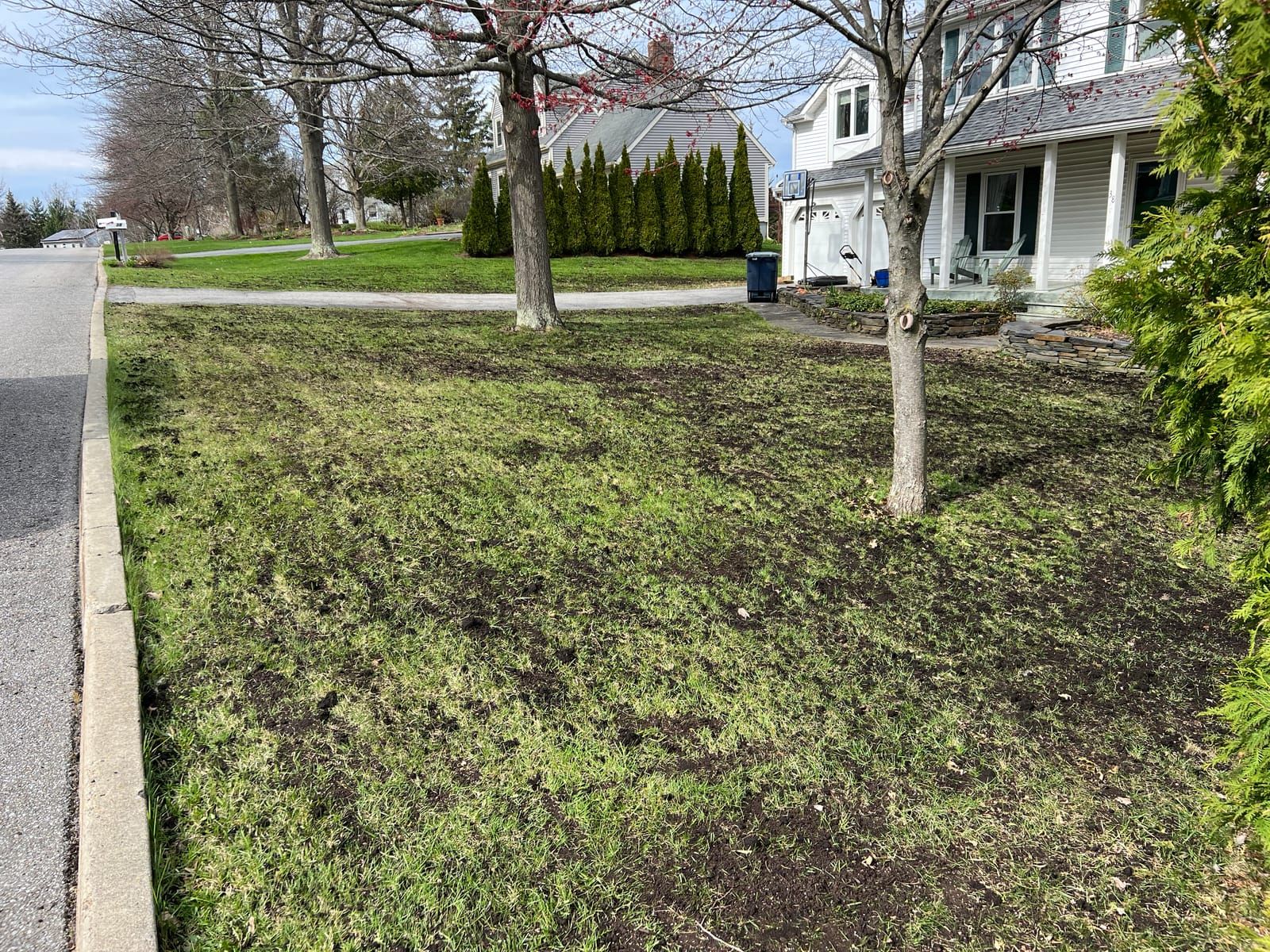 A thin lawn along the street in early spring