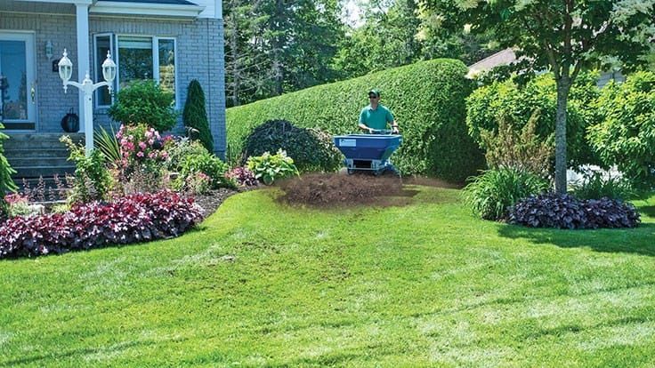 Topdressing a lawn beside a garden bed