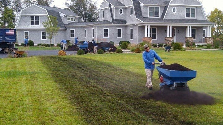 Topdressing a striped lawn with compost